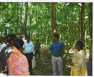 Field visit to successful JFM/NAP sites in Tripura
