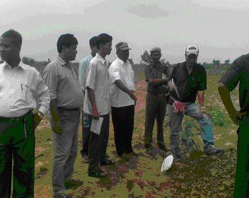 Field visit to plantation site at Jandavenkatapur 